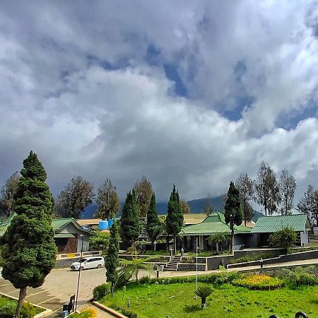 Готель Bromo Permai 1 Екстер'єр фото