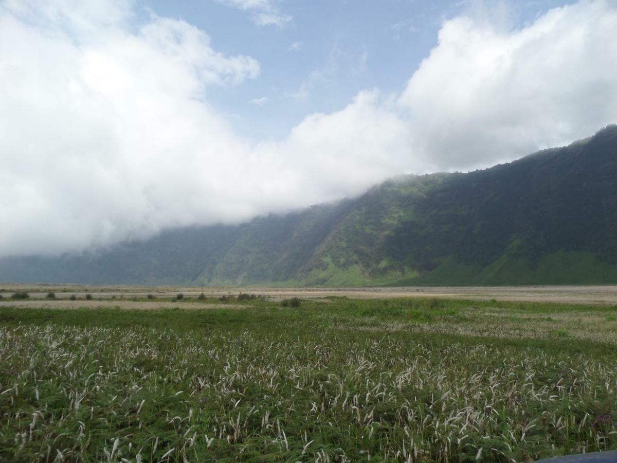 Готель Bromo Permai 1 Екстер'єр фото
