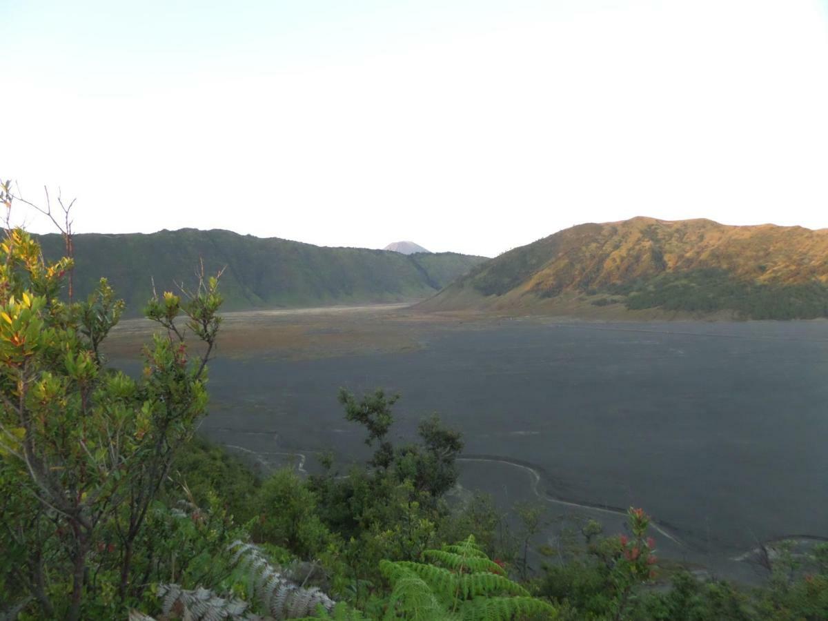 Готель Bromo Permai 1 Екстер'єр фото