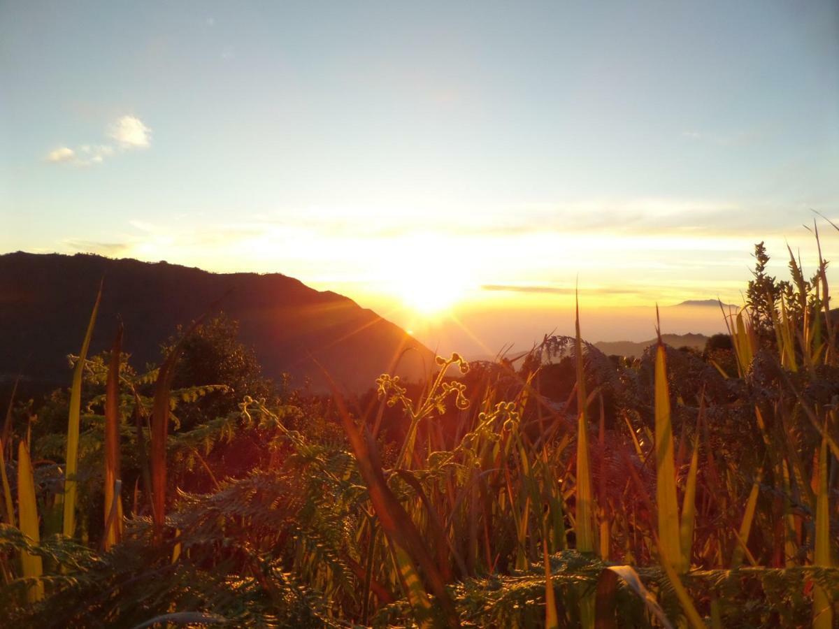 Готель Bromo Permai 1 Екстер'єр фото