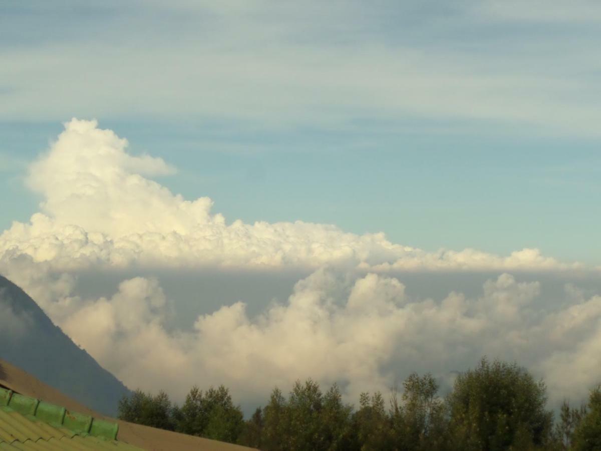 Готель Bromo Permai 1 Екстер'єр фото